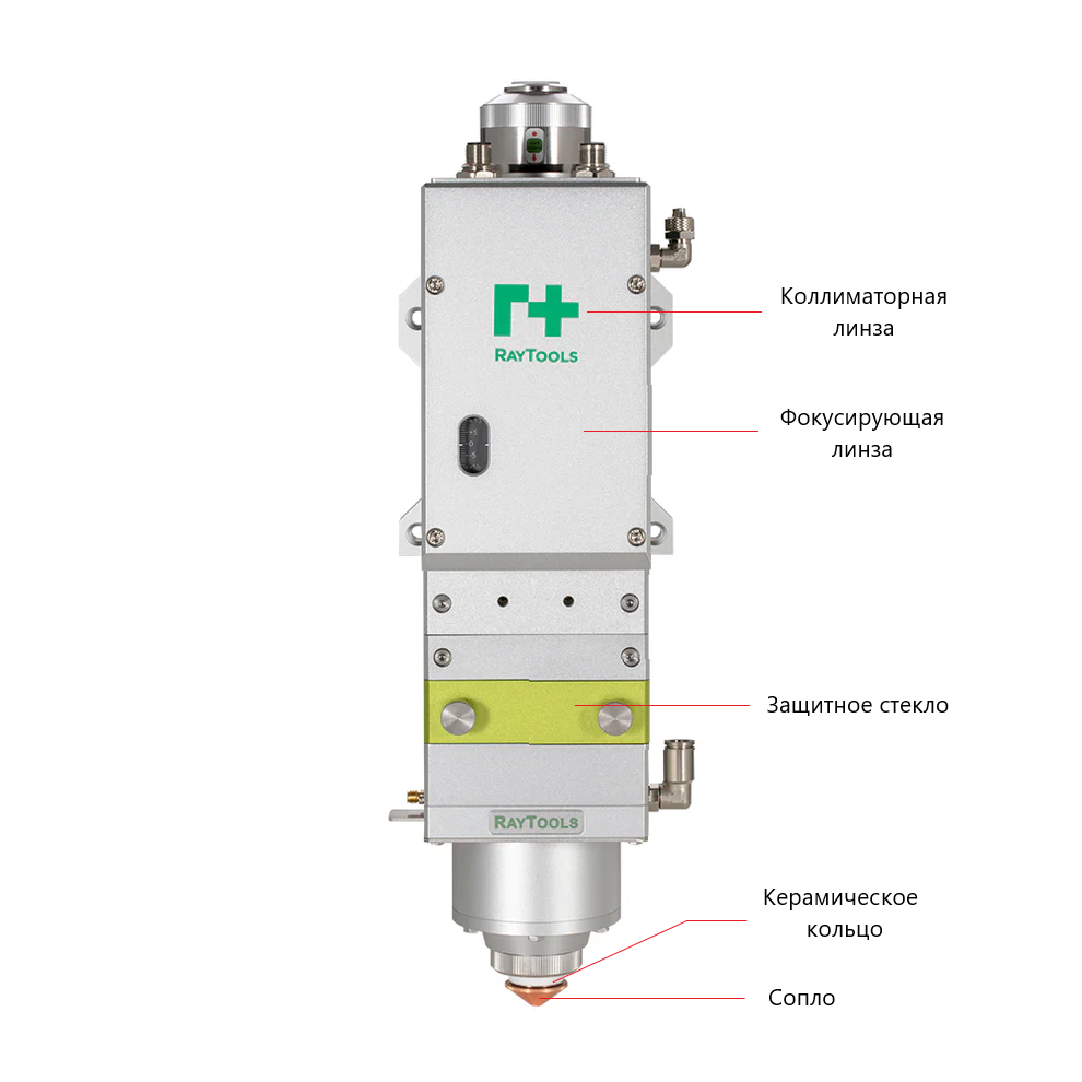 Голова с подписями.png